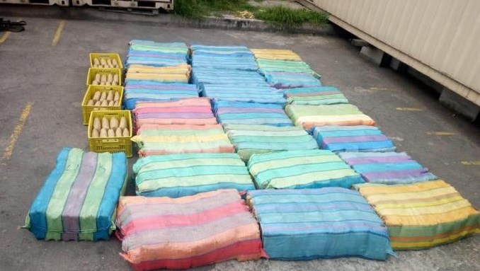 Autoridades incautaron más de tres toneladas de marihuana en Bogotá