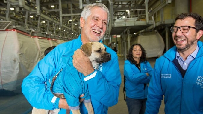 Las mascotas también pueden viajar en TransMiCable. Aquí las condiciones