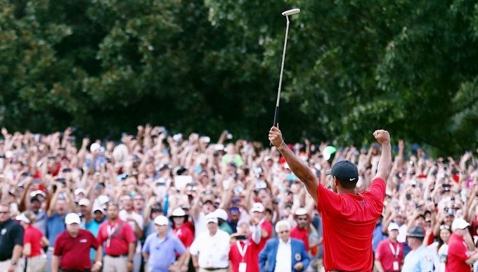 Vídeos. La marea humana que acompañó a Tiger Woods a recoger un título tras 5 años de sequía 1 tiger woods Copiar