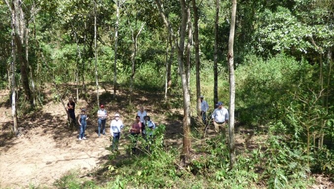 Ecoparque Turístico Los Farallones