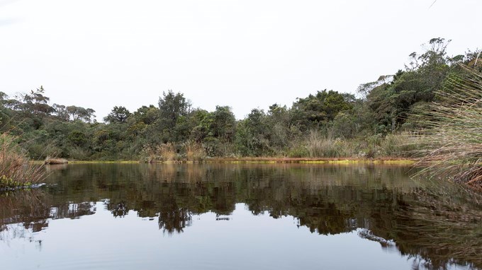 La gobernación protegerá los 6 páramos de Antioquia