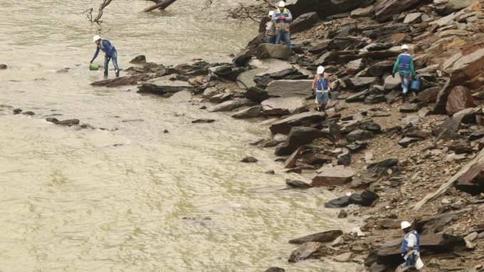 FOTOS: Tras el cierre de compuertas en Hidroituango EPM realizó rescate de peces en la zona