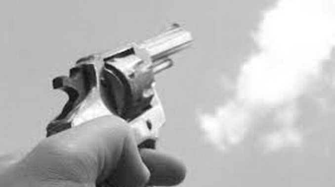 arma-bala-balazo-arma-de-fuego-pistola-revolver