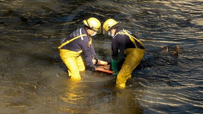 EN FOTOS Y VIDEO: Recuperaron el cuerpo que flotaba en el río Medellín 8 cuerpo rio medellin 03 01 2019 7