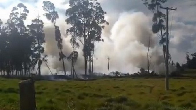 VIDEO: Bomberos controlan una quema forestal en el sector El Tintal en Bogotá
