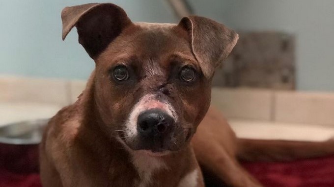 Captura tomada de Facebook: @NikkiSauer