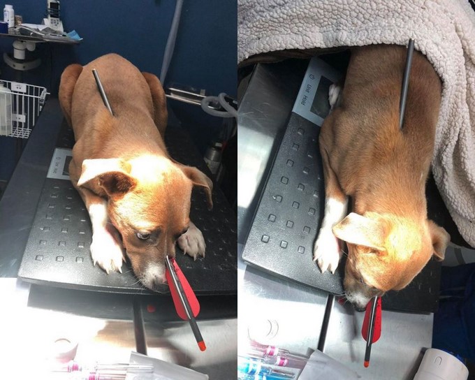 Captura tomada de Facebook: @NikkiSauer