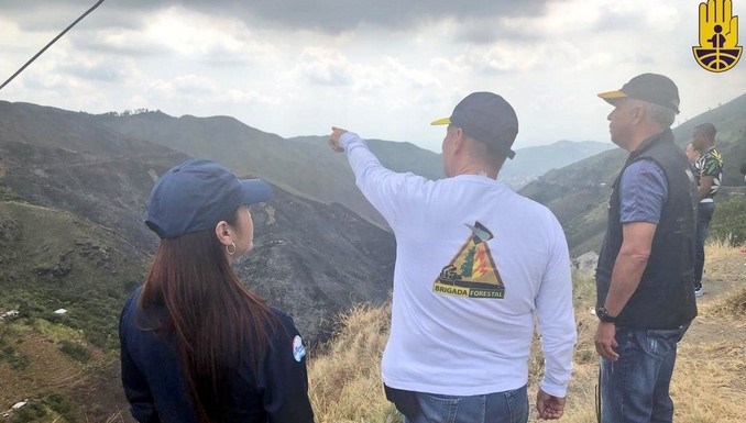 Bomberos lograron rescatar a cachorrito atrapado en incendio forestal en Cali