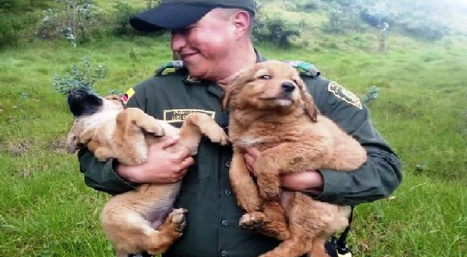 Rescate cachorros río Pasto