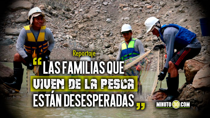 Mortandad de peces, consecuencia irreversible aguas abajo de Hidroituango