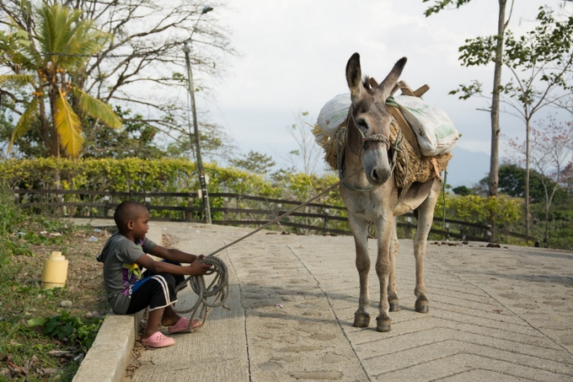 1.200 km de vías campesinas en Antioquia están en construcción