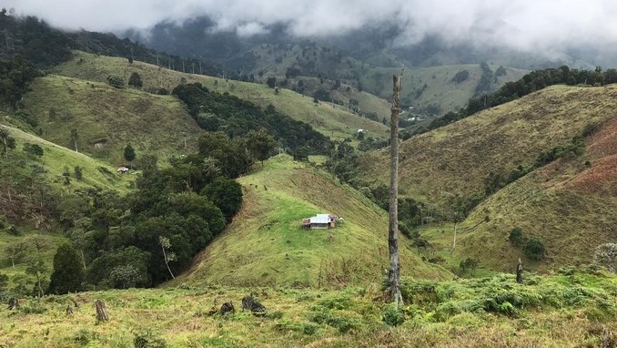 Al descubierto grupo familiar que sirvió como fachada para ocultar bienes del entonces frente 17 de las Farc