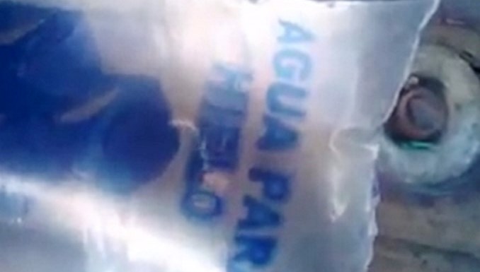 Vendedor en Santa Marta denunció que la bolsa de agua que compró tenía una lombriz