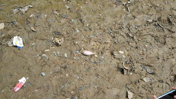 El equipo que investiga los daños ambientales ocasionados por Hidroituango