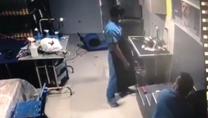 Golpiza perro veterinaria Barranquilla