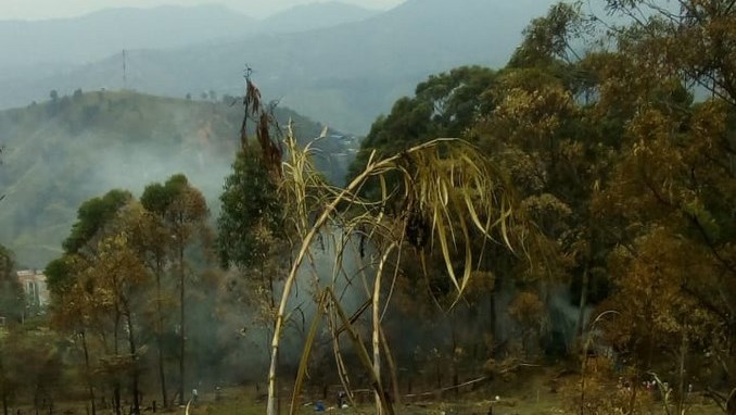 Denuncian que inescrupulosos están ocasionando daños en zona verde de unidad residencial en Medellín