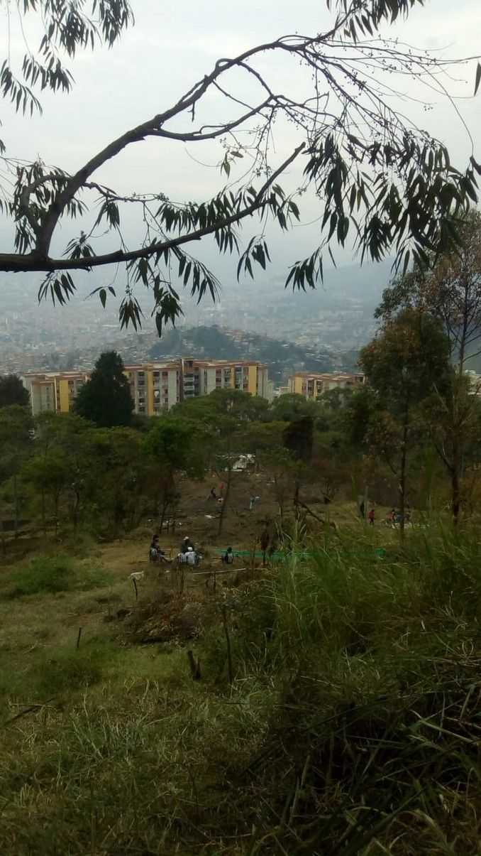 Denuncian que inescrupulosos están ocasionando daños en zona verde de unidad residencial en Medellín