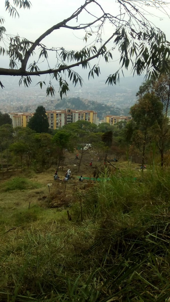 Denuncian que inescrupulosos están ocasionando daños en zona verde de unidad residencial en Medellín