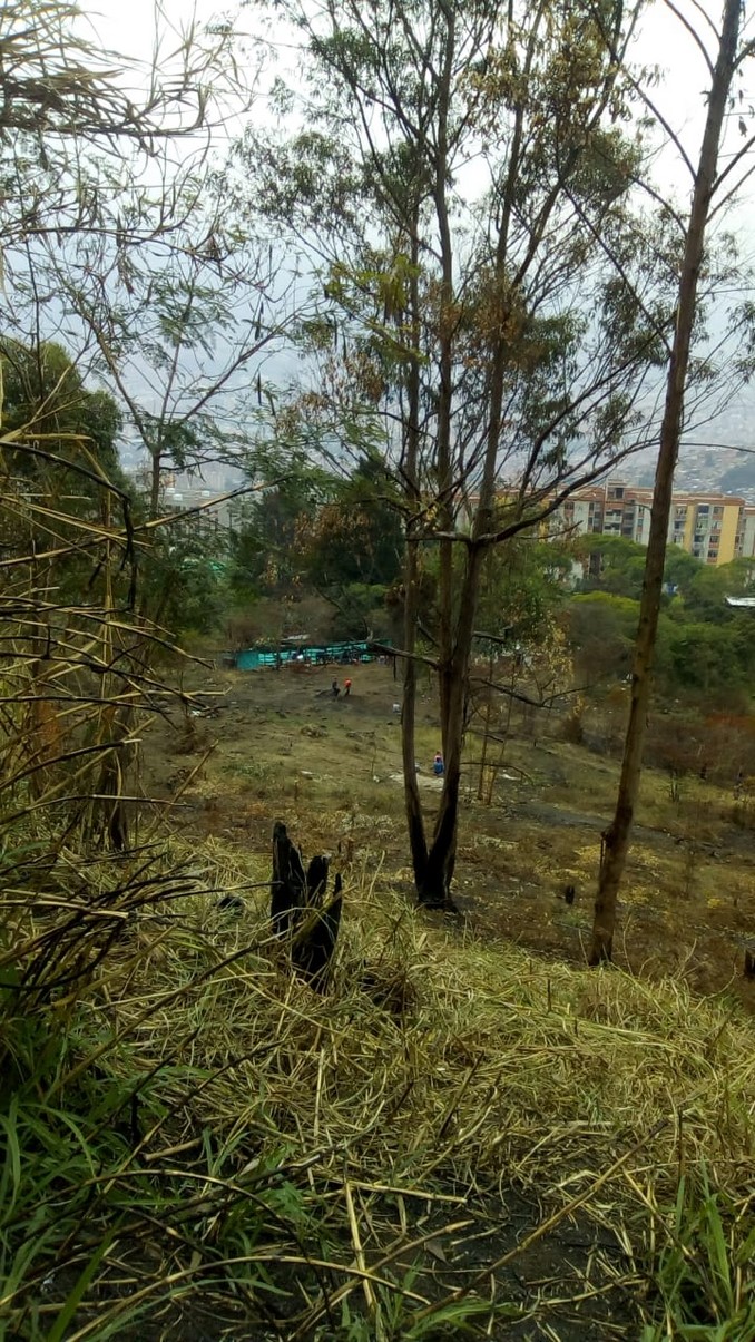 Denuncian que inescrupulosos están ocasionando daños en zona verde de unidad residencial en Medellín