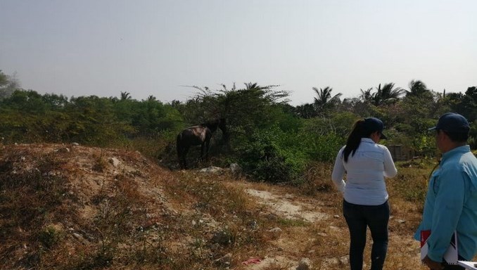 Judicializarán a hombre por invadir la Ciénaga Grande de Magdalena