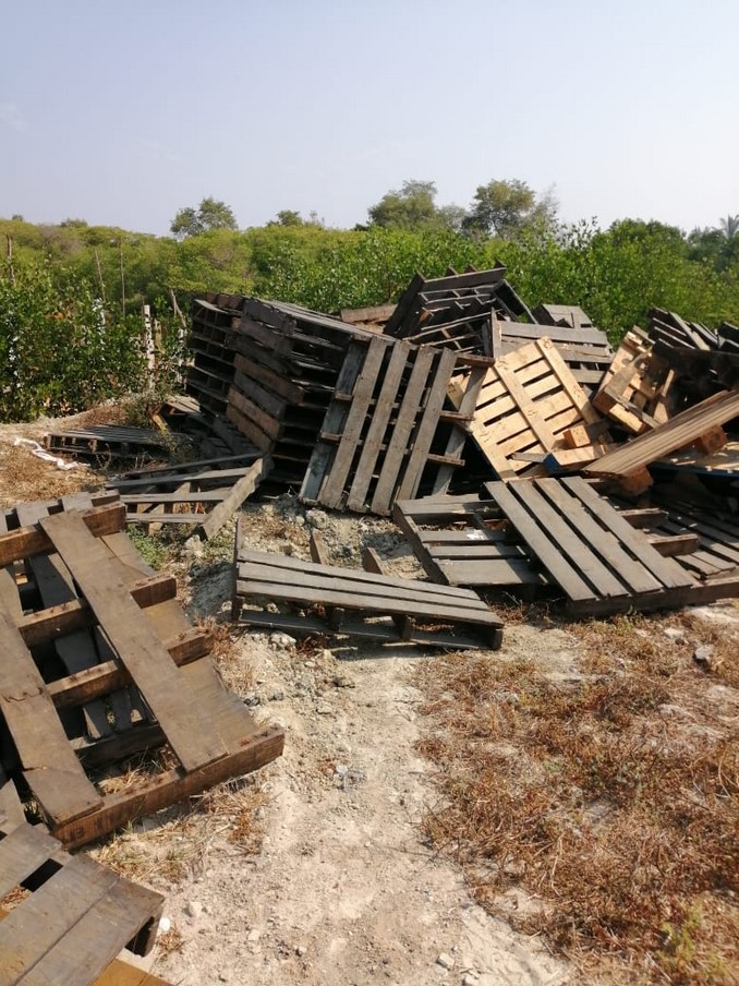 Judicializarán a hombre por invadir la Ciénaga Grande de Magdalena