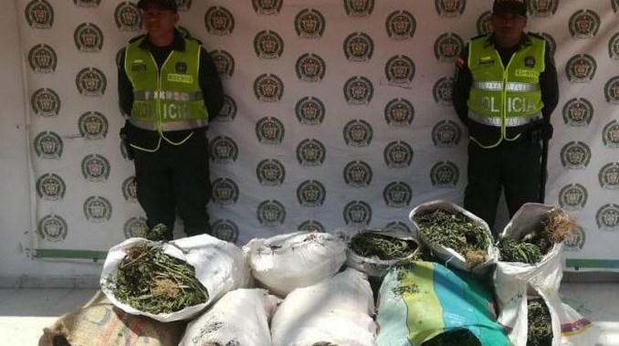 Marihuana Sierra Nevada de Santa Marta