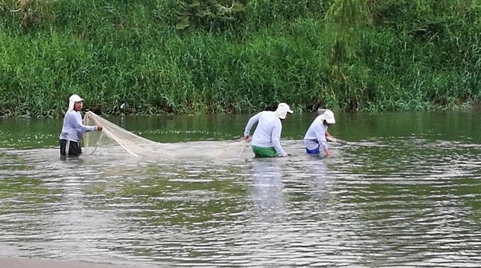 Autoridades piden a EPM reparar económicamente a pescadores afectados por sequía en río Cauca