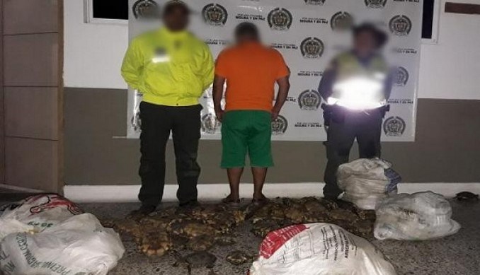 Capturaron a un hombre en Córdoba con 162 hicoteas