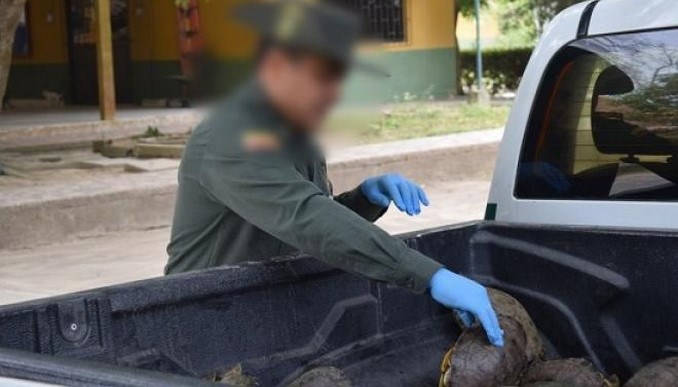 Capturaron a un hombre en Córdoba con 162 hicoteas