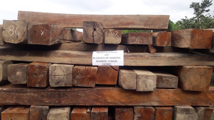 FOTOS: Transportaban 400 metros de madera por Quibdó sin salvoconducto de movilización 4 Incautaron en Quibdo 400 metros cubicos de madera 3