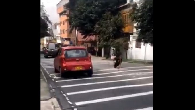 arrodillado bogota
