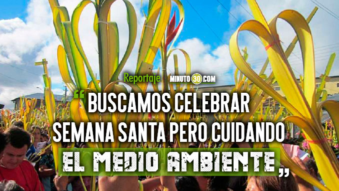 Autoridades ambientales cambiarán palmas por plantas para la celebración del ‘Domingo de Ramos’ en Antioquia