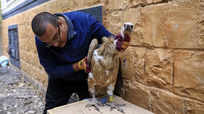 Buitre que era estudiado en Bulgaria terminó como prisionero de guerra en Yemen, acusado de espionaje