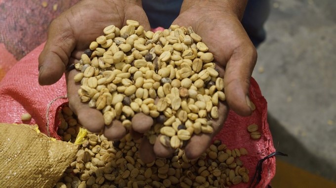 Indicadores Económicos para el 7 de enero de 2020