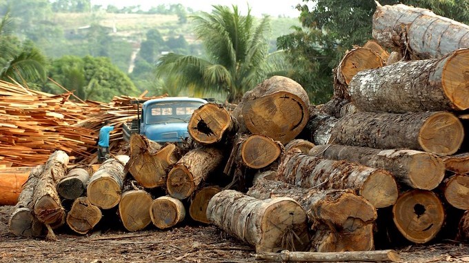 ¡Preocupante! La deforestación en la Amazonía brasileña creció más del 88% en junio