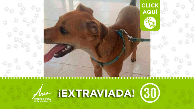 ‘Frida’ se perdió en Sabaneta