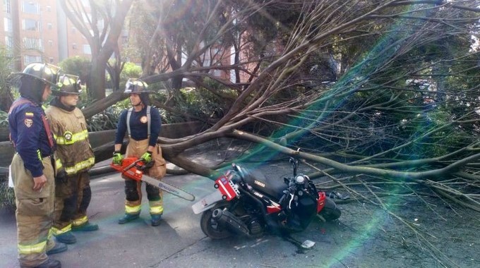 EN FOTOS: Un gigantesco árbol le cayó encima a un motociclista en Bogotá estripando su vehículo, el conductor está estable