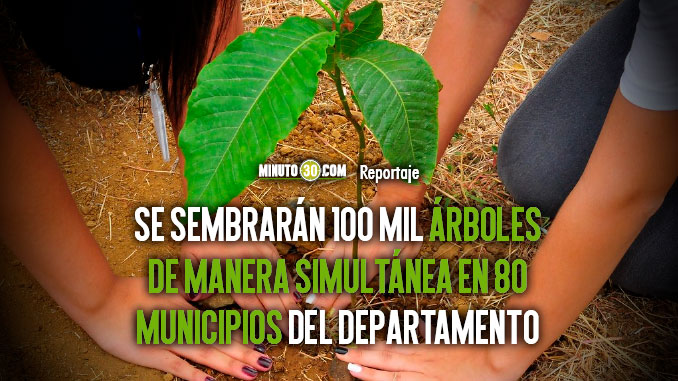 Con una Gran Sembratón, Antioquia luchará contra la deforestación