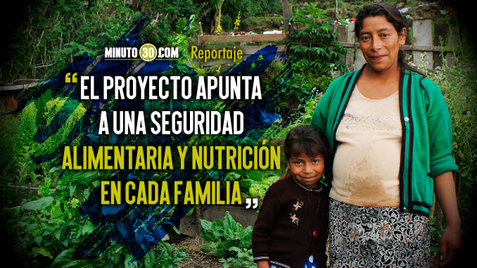 En Antioquia ya van más de 12 mil Huertas Familiares de Autoconsumo
