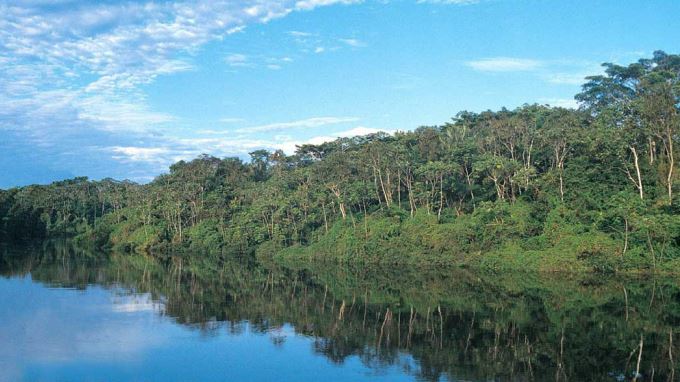 ¡Con millonaria inversión! Perú protegerá 17 millones de hectáreas de Amazonía