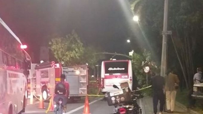 Fotos: ¡Qué susto! A un bus de Itagüí le cayó un árbol encima mientras iba en ruta