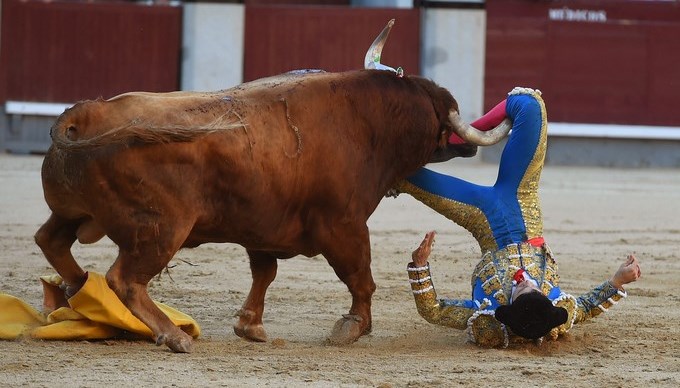 Torero colombiano resulta herido por el cuarto toro en Las Ventas