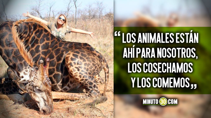 Cazadora mató una jirafa para hacer fundas de almohada con su piel y comerse la carne