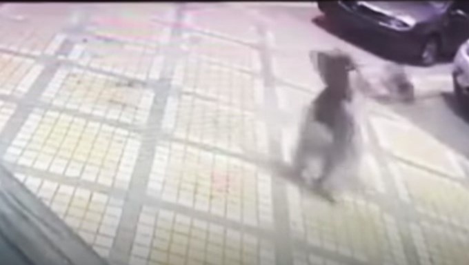 Vídeo. Pobre mujer, le cayó un disco de pesas cuando pasaba frente a un edificio