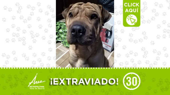 ‘Kronos’ se perdió en vereda de San Cristóbal