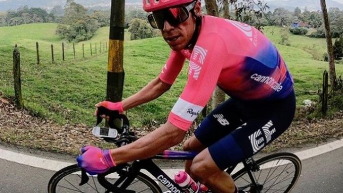 rigo1