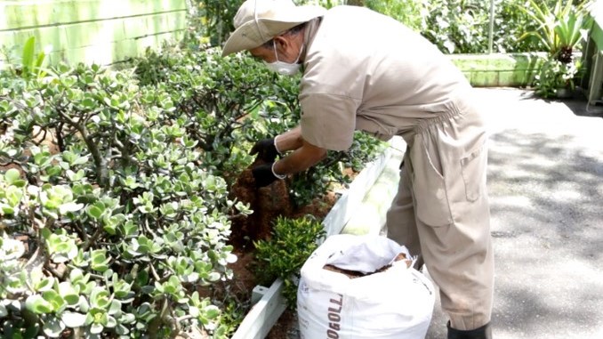Conozca los jardines de Medellín que serán intervenidos hoy