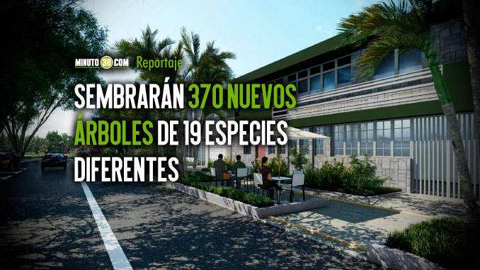 Alcaldía de Medellín le dará nueva cara a la tradicional avenida Jardín en Laureles 2 Sembraran 370 nuevos