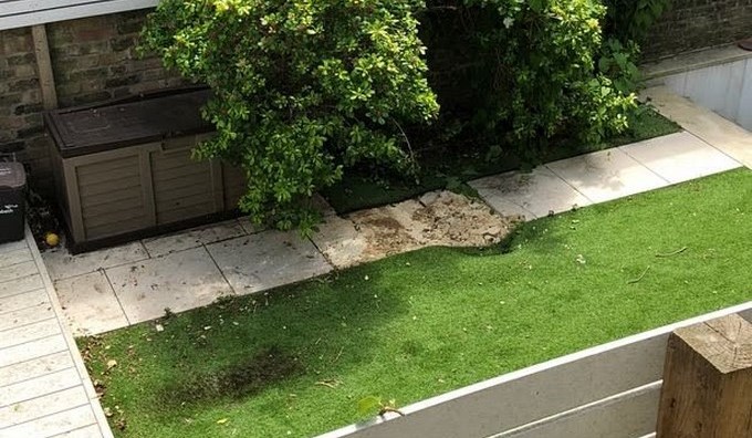 Cadáver cayó de un avión sobre un hombre que estaba en el patio de su casa