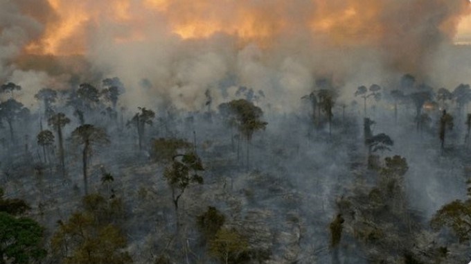 FOTOS: Indignación y dolor en el mundo por los incendios en Amazonía brasileña
